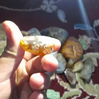 سنگ عقیق هفرنگ|جواهرات|فردیس, فرامرزیه|دیوار