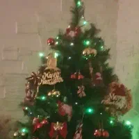 درخت کاج کریسمس‌دو متر