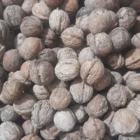 گردو درجه یک