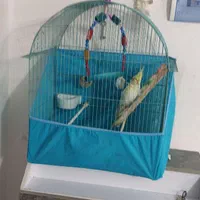عروس هلندی زیبا