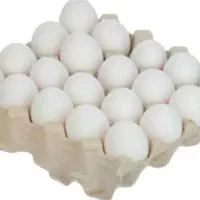 پخش عمده تخم مرغ