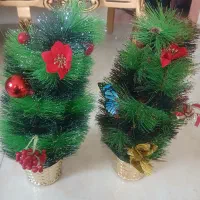 درختچه کریسمس خارجی