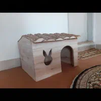 لانه حیوانات خانگی