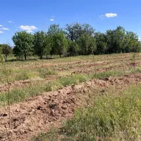 باغ درکهریز در متراژ مختلف