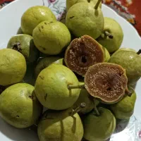 خوج