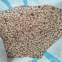 لوبیا چیتی دست چین