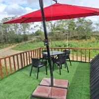 کلبه سویسی دوخوابه با استخر سرپوشیده|اجارهٔ کوتاهمدت ویلا و باغ|فومن, |دیوار