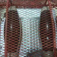 کرسی برقی ناسیونال