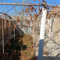 سوییت ویلا باغ|اجارهٔ کوتاهمدت ویلا و باغ|نوشین شهر, |دیوار