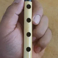 فروش نی تکی