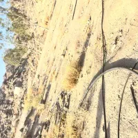 زمین|فروش دفتر صنعتی، کشاورزی، تجاری|زاهدان, |دیوار