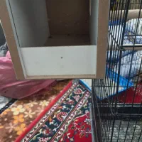 سه عدد قفس با قیمت مناسب|لوازم جانبی حیوانات|سبزوار, پاسداران|دیوار