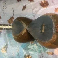 تار حرفه ای خجسته