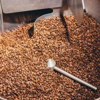 فروش عمده و خرد قهوه روبوستا فول کافئین