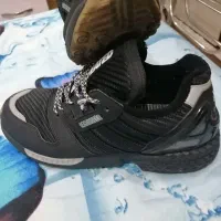 کتونی zx 8000 آمریکن|کیف، کفش، کمربند|اسلامشهر, شهرک قائمیه|دیوار