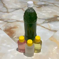 فیتوپلنگتون اب شور+محیط کشت (نانوکلرپسیس)اکواریوم