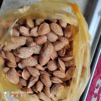 بادام آذری و بادام سنگ
