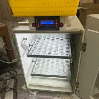 دستگاه جوجه کشی فول اتوماتیک ۸۴ تایی جوجه جنوب