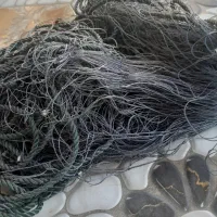 ۴عدد تور لنگری جشی|ماهیگیری|بوشهر, |دیوار