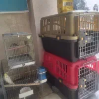 فروش انواع باکس و توالت حیوانات خانگی
