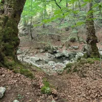 سیم‌کارت شماره رند