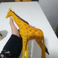 فیگور و اسباب بازی حیوانات