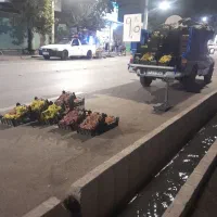 انگور کشمش بالا تراز میدان انقلاب فقط با جعبه ۸۰