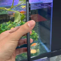 note 13pro|موبایل|شیراز, زند|دیوار