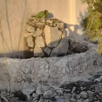 سیمانکاری و محوطهسازی حرفهای با تضمین|خدمات پیشه و مهارت|اراک, |دیوار