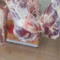 گوشت گوساله درجه یک