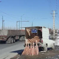 حراج جارو محلی