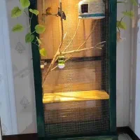 ویترین قفس پرنده
