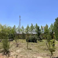 فروش و اجاره سوله و کارخانه در شهرک صنعتی نوآوران|فروش دفتر صنعتی، کشاورزی، تجاری|زنجان, |دیوار