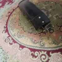 گل گیر دچرخه عقب|دوچرخه، اسکیت، اسکوتر|شیراز, احمدآباد|دیوار