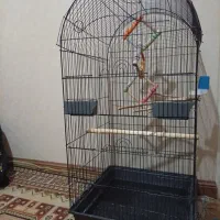قفس یک متری بزرگ با لوازم
