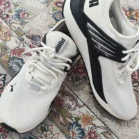 کتونی پوما اورجینال|کیف، کفش، کمربند|ماهدشت, |دیوار