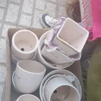 م.ی.ز. تی وی گلدان کافی بار|تلویزیون و پروژکتور|سبزوار, شرق کال شمالی|دیوار