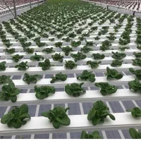 نیازمند کارگر بلوچ