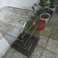 قفس خیلی بزرگ شاه طوطی و کاسکو بسیار محکم|لوازم جانبی حیوانات|رشت, سلیمانداراب|دیوار