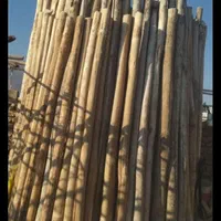 خریدار چوب سقفی|خدمات باغبانی و درختکاری|نیشابور, شهید بهشتی|دیوار