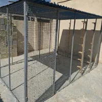 قفس کبوتر