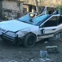 زانتیا سفید