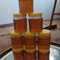 عسل کوهی درمانی