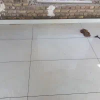 کاشیکاری سنگ‌کار موزاییک سیمان کاری|خدمات پیشه و مهارت|ایرانشهر, |دیوار