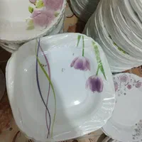 آرکوپال|ظروف سرو و پذیرایی|زاهدان, |دیوار