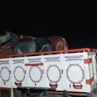 پالونی
