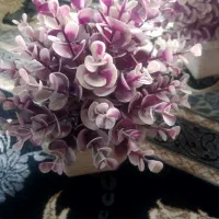 گل مصنوعی|گل مصنوعی|شیراز, شهرک مهدی‌آباد|دیوار