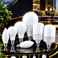 فروش ویژه لامپ هایLED با قیمت درب کارخانه