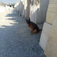 فروشی یا معاوضه با سنگ فرز و مینی ودستگاه جوش