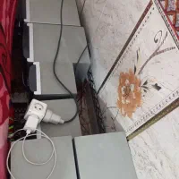 ضبط